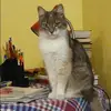 Отзыв от Лена Быкова